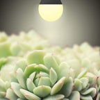 4 Pack LED Grow Light Bulbs，Full Spectrum Plant Light Bulb, 9W Replace 100W | 120V E26 Grow Bulb,Grow Light for Indoor Plants, Flowers, Greenhouse, Indore Garden, Hydroponic