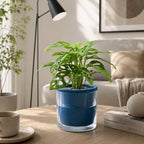 d'vine dev self-watering blue terracotta planter, 6 in on a desk or shelf
