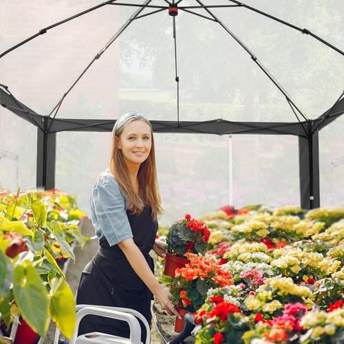 eagle peak 10x10 walk in pop up greenhouse on a desk or shelf