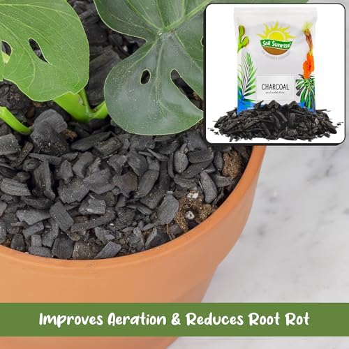 soil sunrise horticultural charcoal for indoor plants (12, side view