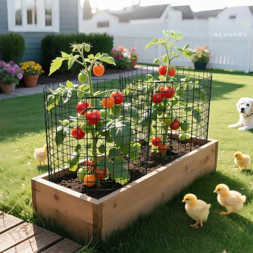 13.8x12 inch plant protector, wire garden cages with, package contents