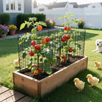 13.8x12 inch plant protector, wire garden cages with, package contents