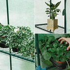 sungift walk-in greenhouse, 57 x 61 x 80 showing dimensions
