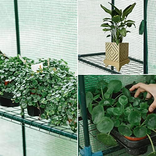 sungift walk-in greenhouse, 57 x 61 x 80 showing dimensions