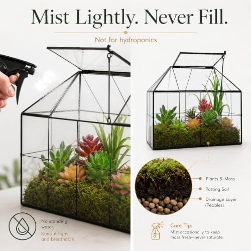 large glass terrarium house planter – succulent plant showing dimensions