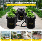 vevor 5 buckets dwc hydroponic system, 5 gallon shown in use