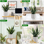faux snake plant 22" tall, realistic touch leaves, close-up detail