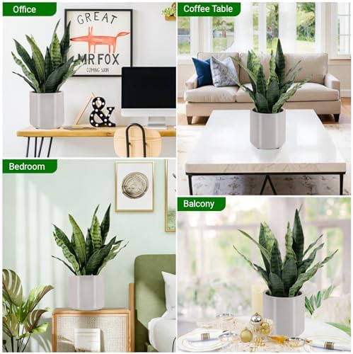 faux snake plant 22" tall, realistic touch leaves, close-up detail