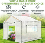 eagle peak 10x10 pop up walk in greenhouse shown in use