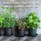 9 Pack Black Plant Pot Saucers, 8 10 12 Inch Heavy Duty PP Trays | Plant Watering Trays for Indoor & Outdoor Flower Pots