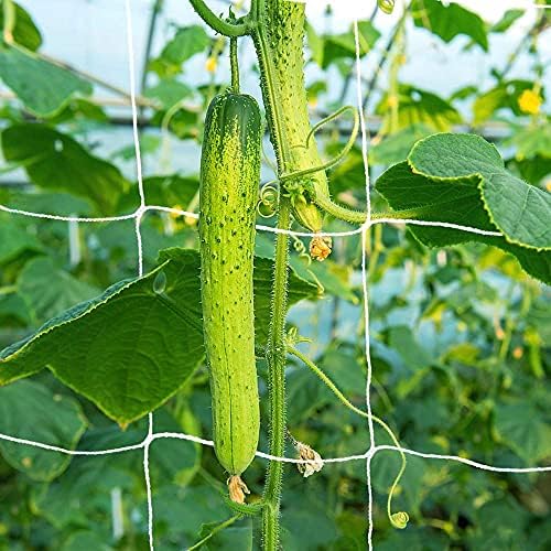5x350ft garden trellis netting - heavy-duty polyester outdoor, package contents