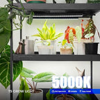 barrina t5 grow lights, 5000k full spectrum daylight shown in use