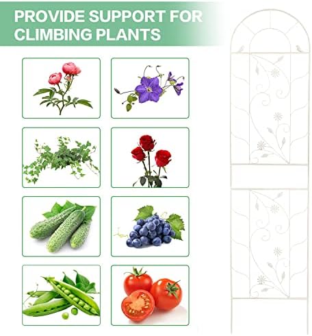 sungmor metal trellises for climbing plants, overall 20 on a desk or shelf