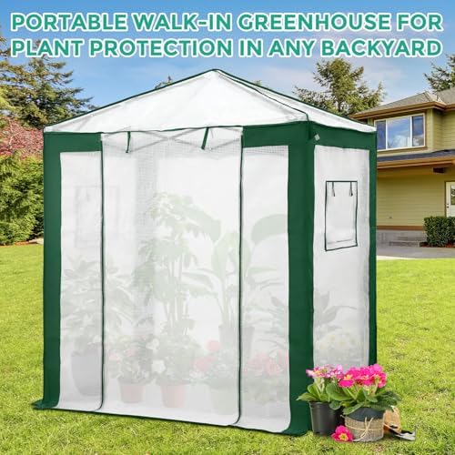 eagle peak 6x4 walk in pop up greenhouse on a desk or shelf