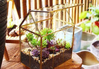 glass geometric plant terrarium,succulent & air planter for showing dimensions