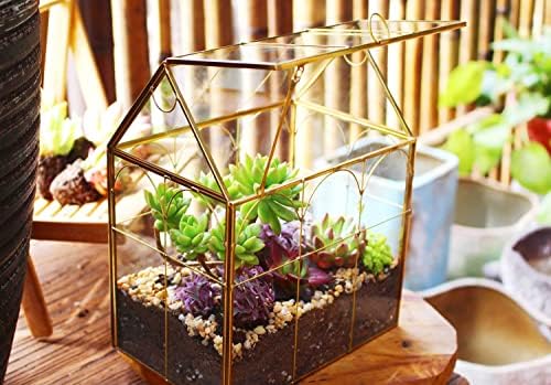 glass geometric plant terrarium,succulent & air planter for showing dimensions