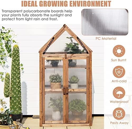 graffy wooden cold frame greenhouse with 3 removable shown in use