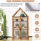graffy wooden cold frame greenhouse with 3 removable shown in use