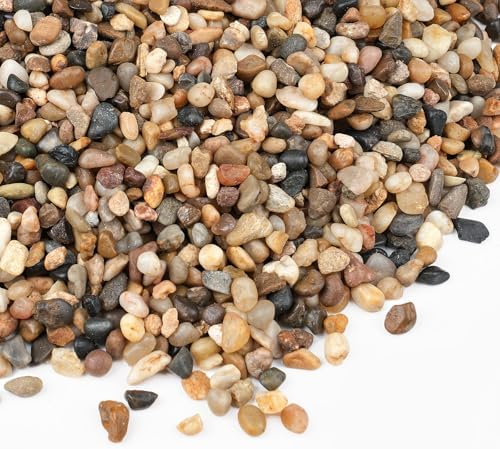 2.5 lbs Small Rocks for Plants, 1/5 Inch Gravel for Plants Drainage | Decorative Potting Pebbles for Indoor Plants, Vases, Bamboo, Succulent, Terrarium, Crafts, Cactus
