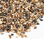 2.5 lbs Small Rocks for Plants, 1/5 Inch Gravel for Plants Drainage | Decorative Potting Pebbles for Indoor Plants, Vases, Bamboo, Succulent, Terrarium, Crafts, Cactus