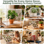 mini greenhouse indoor kit with hygrometer&growth label for on a desk or shelf