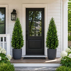 artificial cedar topiary trees 4ft set of 2 shown in use