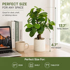 17.5 inch artificial fiddle leaf fig tree in shown in use