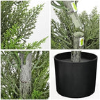 briful 3ft artificial cedar topiary trees set of, side view