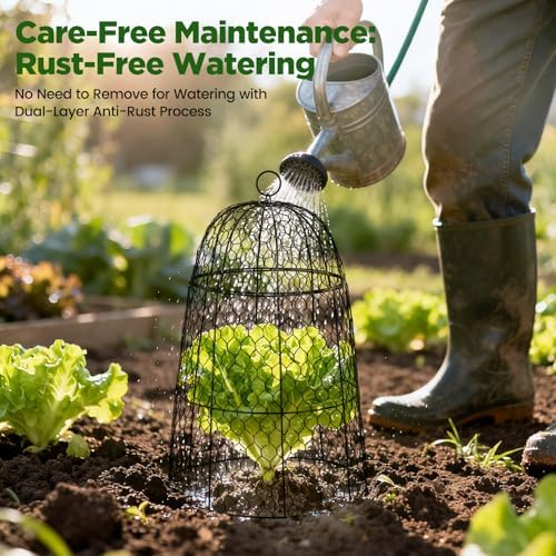 xl metal garden cloches for plants, 17" tall, package contents