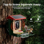 smart bird feeder with camera solar powered, 2k on a desk or shelf