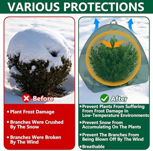 pop-up shrub cover frost protection tent plant cover showing dimensions