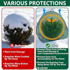 pop-up shrub cover frost protection tent plant cover showing dimensions