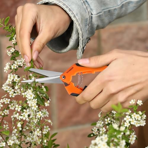 VIVOSUN 6.5 Inch Garden Scissors, Orange Pruning Shears for Plants, 2-Pack | Straight Precision Stainless Steel Blades, Comfort Ergonomic Grips, Ideal Snip for Deadheading, Trimming & Shaping Plants