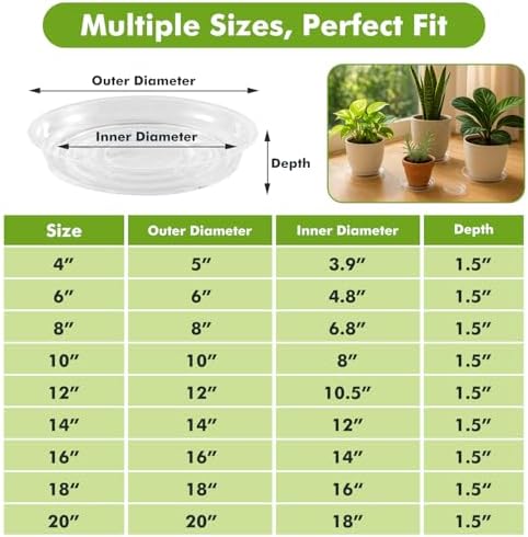 70 packs 12" clear plant saucers for indoor shown in use