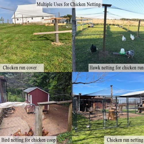bird netting for chicken coop 25x50 ft, 1" showing dimensions