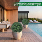grooy artificial 4 pack boxwood topiary plant with on a desk or shelf