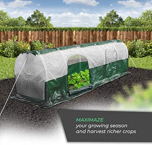 biogreen grow tunnel superdome | 118“ x 23.6“ on a desk or shelf