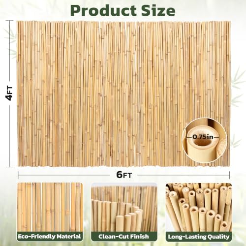 natural bamboo fence, 4 ft x 6 ft, close-up detail