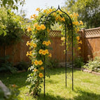 metal garden arbors 8ft thickened arch trellis for, front angle view