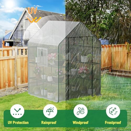 specilite 56×56×78inch walk-in greenhouse for outdoors garden plant shown in use