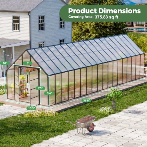 cdcasa 10x36 ft greenhouse for outdoors, massive easy, front angle view