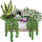 assorted artificial succulents fake plants in rectangular wooden, close-up detail