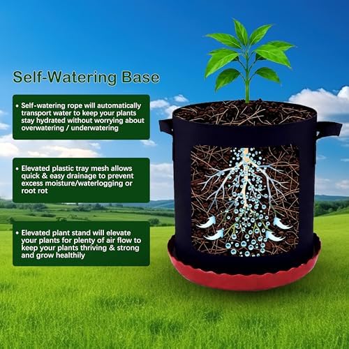 16 inch self watering base for fabric grow shown in use