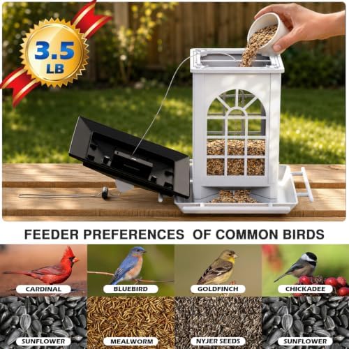 birdream 2 pack solar bird feeders for outdoors, close-up detail