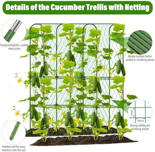 cucumber trellis for raised bed, tall metal garden, side view