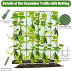 cucumber trellis for raised bed, tall metal garden, side view