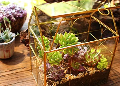 glass geometric plant terrarium,succulent & air planter for on a desk or shelf