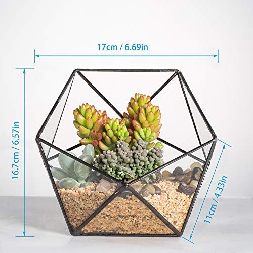 ncyp opened geometric glass terrarium, 6.69" bowl shape showing dimensions