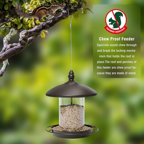 pack of 2 - metal roof bird feeder on a desk or shelf
