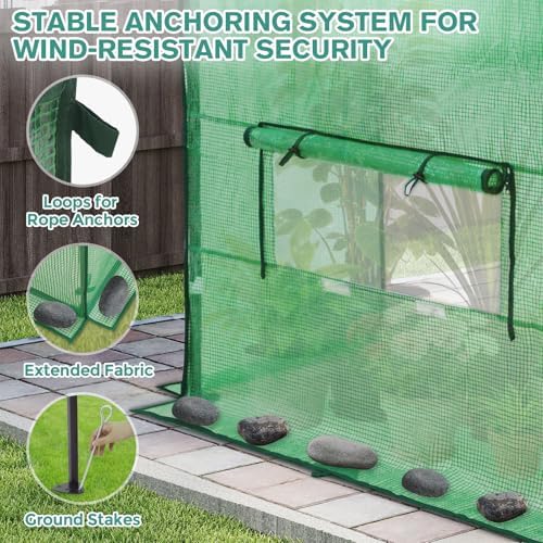 coos bay 6x6 pop up greenhouse outdoor, walk on a desk or shelf
